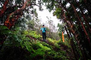 BIB: 
                            <button type="button" onclick="openModal(26201764)" class="btn btn-primary btn-sm float-right btn-popup" data-toggle="modal" data-target=".modal-high-quality">
                        <i class="fas fa-shopping-cart"></i> Add to Cart
                    </button>
                                            <button type="button" onclick="isThisMe(26201764, true)" class="btn btn-success btn-sm float-right btn-popup btn-isme hidden" data-toggle="tooltip" data-placement="bottom" title="นี่คือรูปของคุณใช่ไหม คลิกที่นี่เพื่อเอาเข้าอัลบั้ม">
                        <i class="fas fa-plus"></i> Add to album
                    </button>
                    <button type="button" onclick="isThisMe(26201764, false)" class="btn btn-warning btn-sm float-right btn-popup btn-isnotme hidden">
                        <i class="fas fa-ban"></i> Remove from album
                    </button>